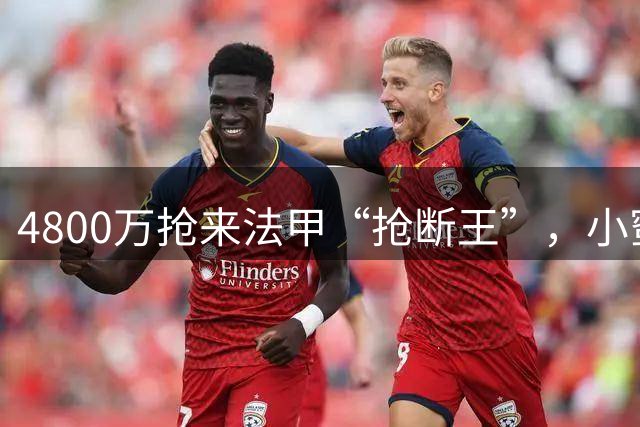 4800万抢来法甲“抢断王”，小蜜蜂明夏标价1亿镑
